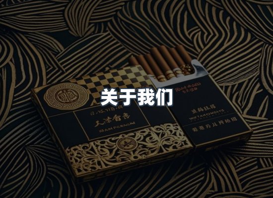 专业团队